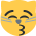 HDZEMOJI127
