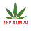 TAMOLINDO